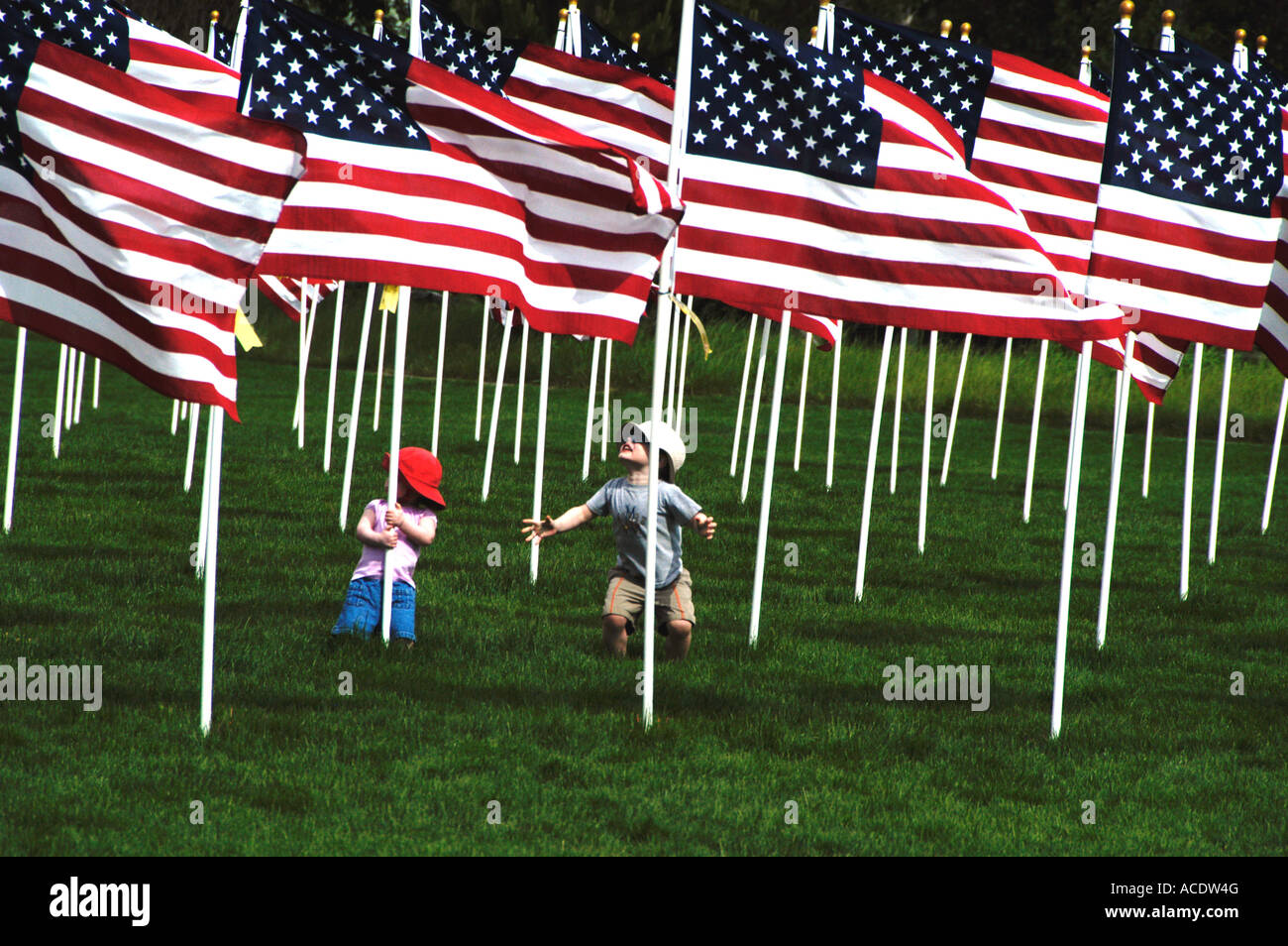 Bandiere che celebrano il Veteran's Day Eagle City Park, contea di Ada, Idaho, Stati Uniti Foto Stock
