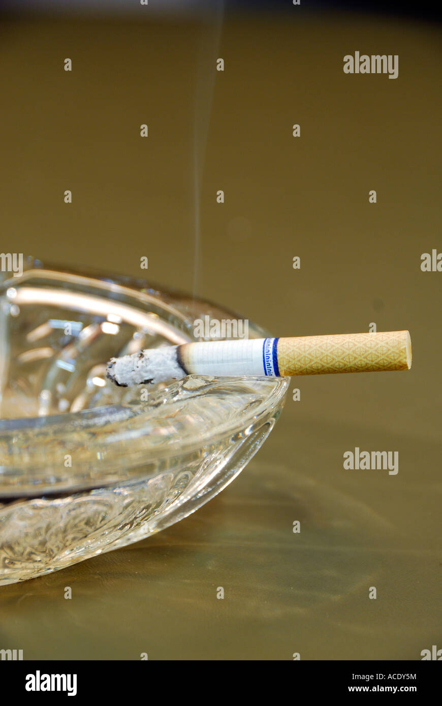 Masterizzazione di sigaretta nel portacenere Foto Stock