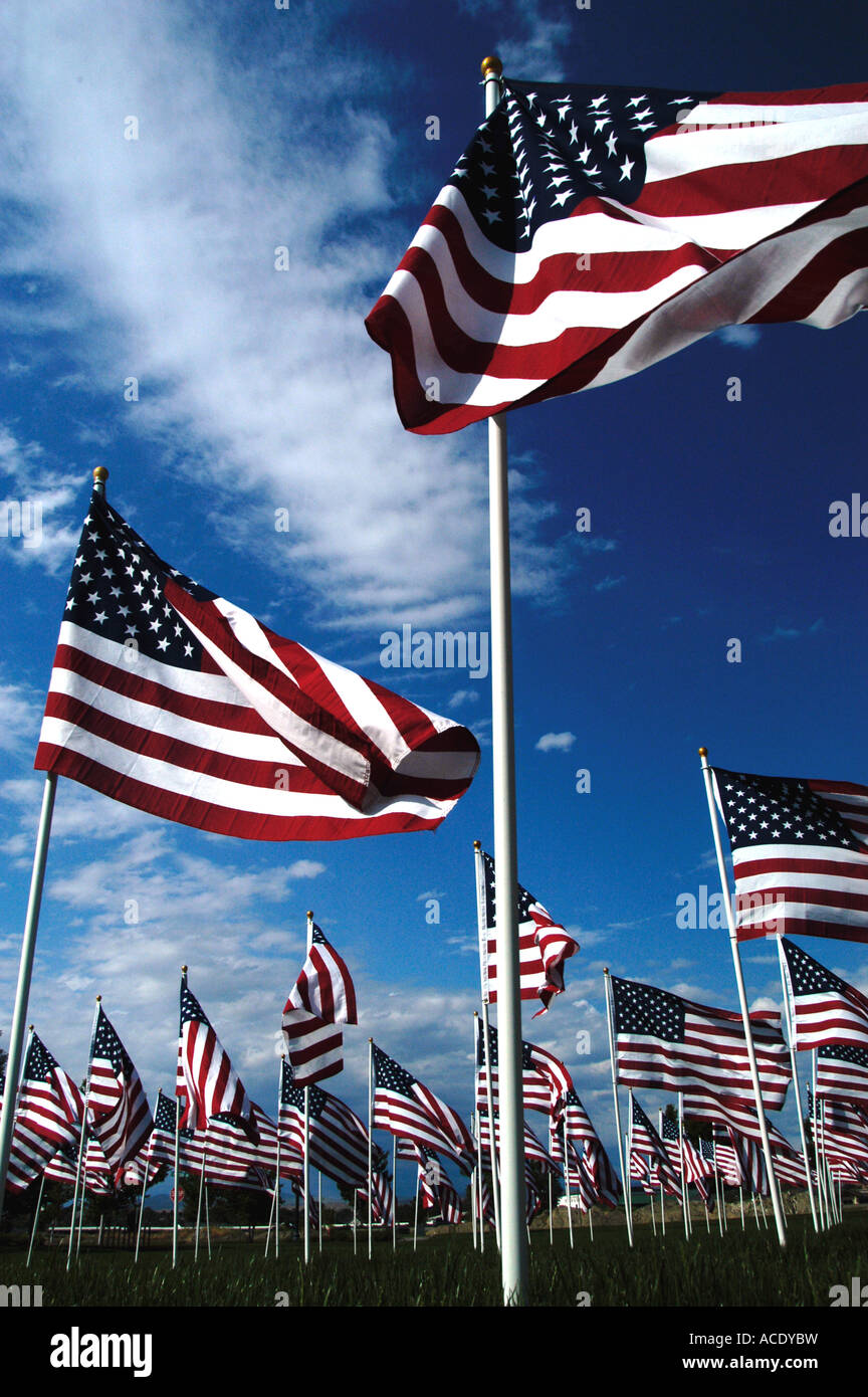 Stati Uniti Idaho Meridian veterano s giorno bandiere nel parco della città Foto Stock
