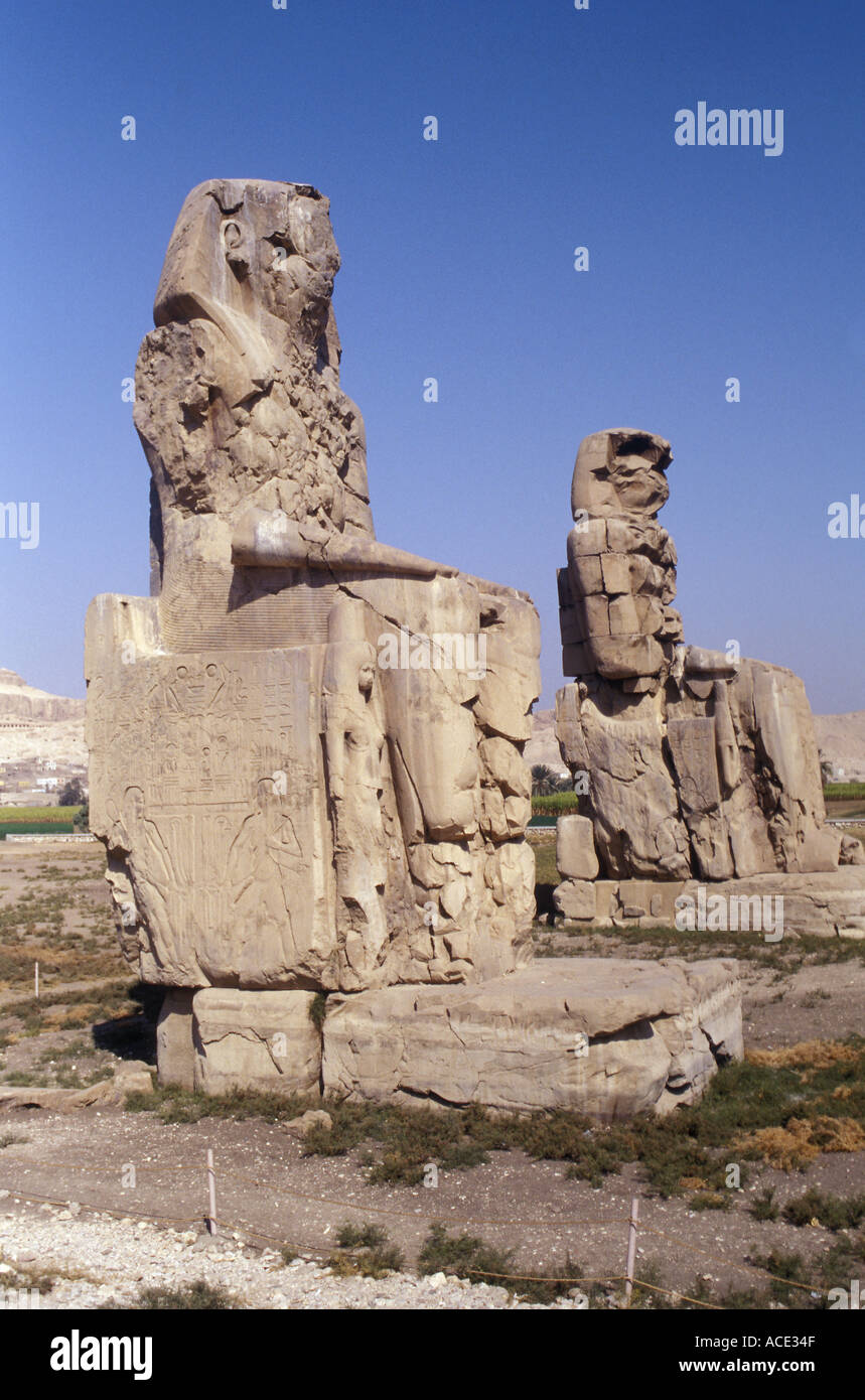 Colosso di Memnon Luxor Egitto Foto Stock