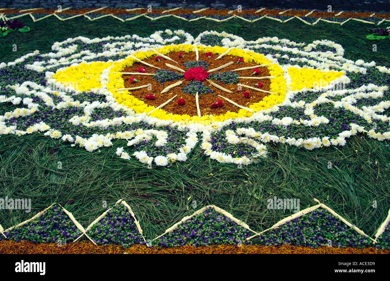 Una vista ingrandita di un tappeto di strada in Antigua Guatemala durante la Semana Santa Foto Stock