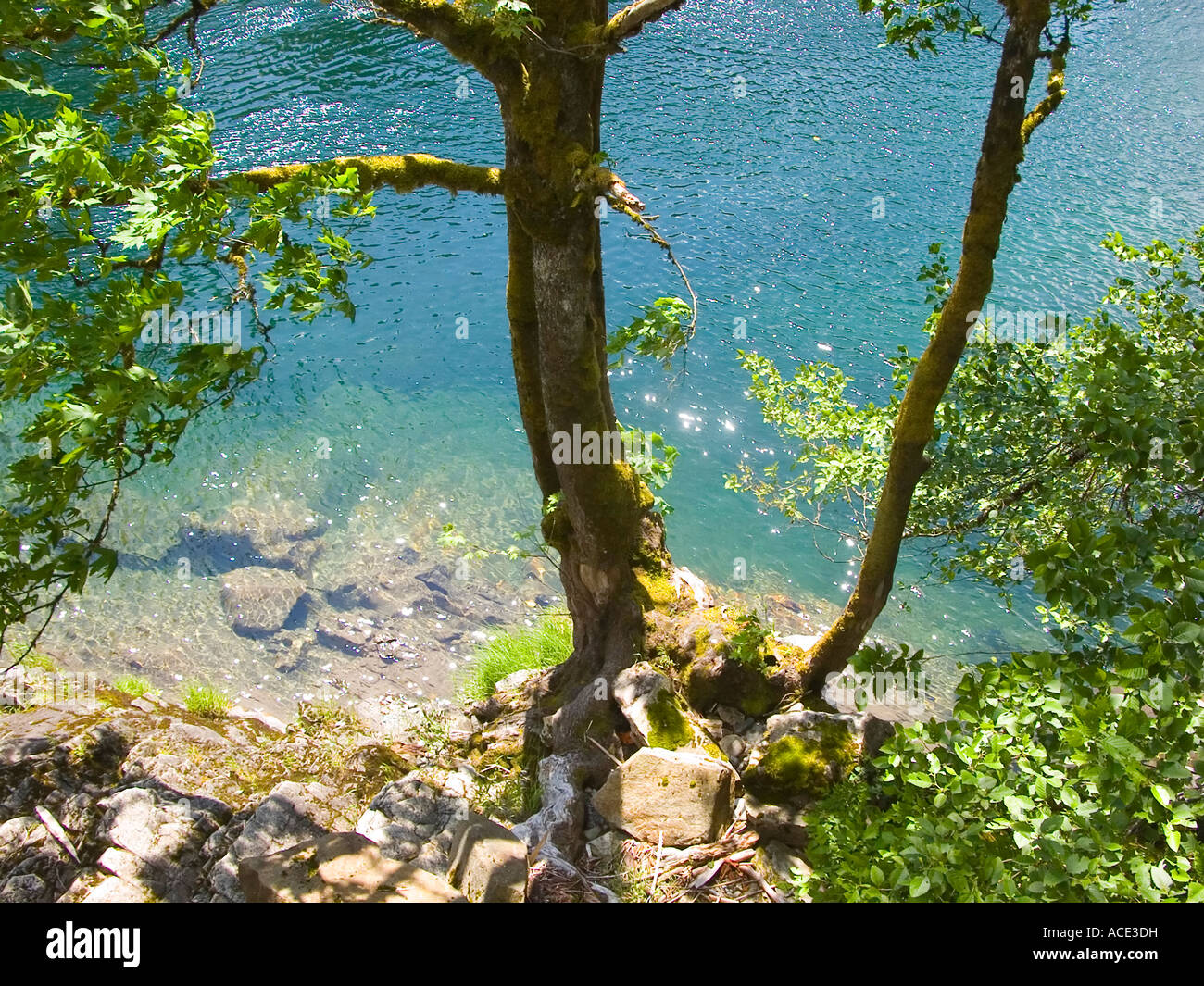Skokomish turchese Foto Stock
