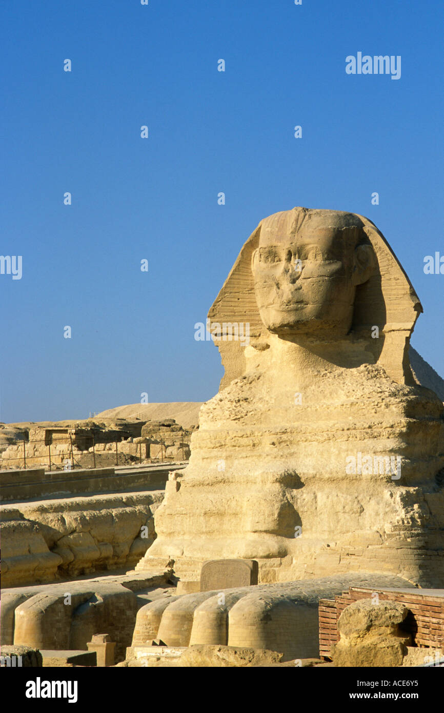 Egitto Cairo Giza Sphinx Foto Stock