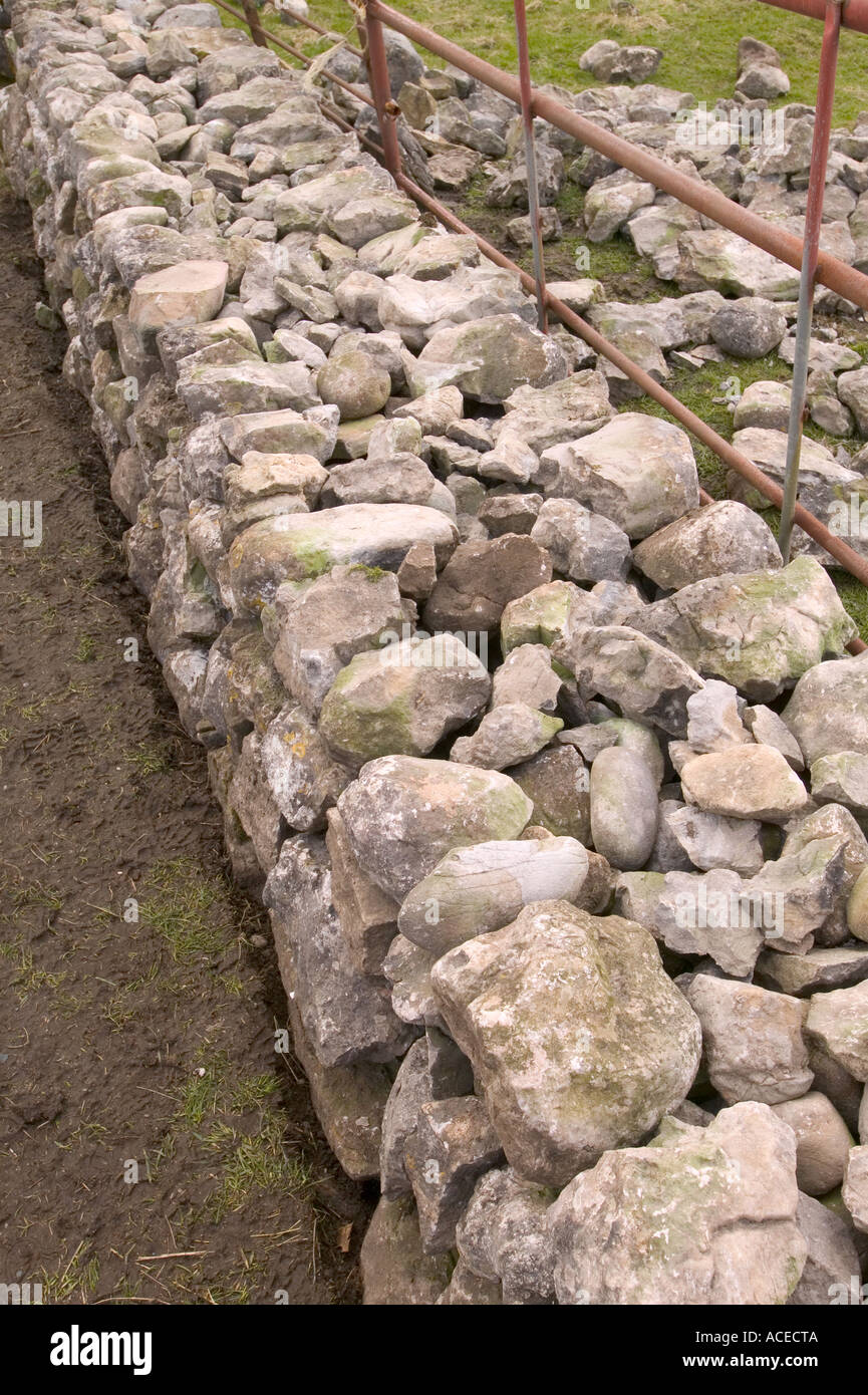 La costruzione di un nuovo muro stalattite a Grassington, Yorkshire Dales, REGNO UNITO Foto Stock