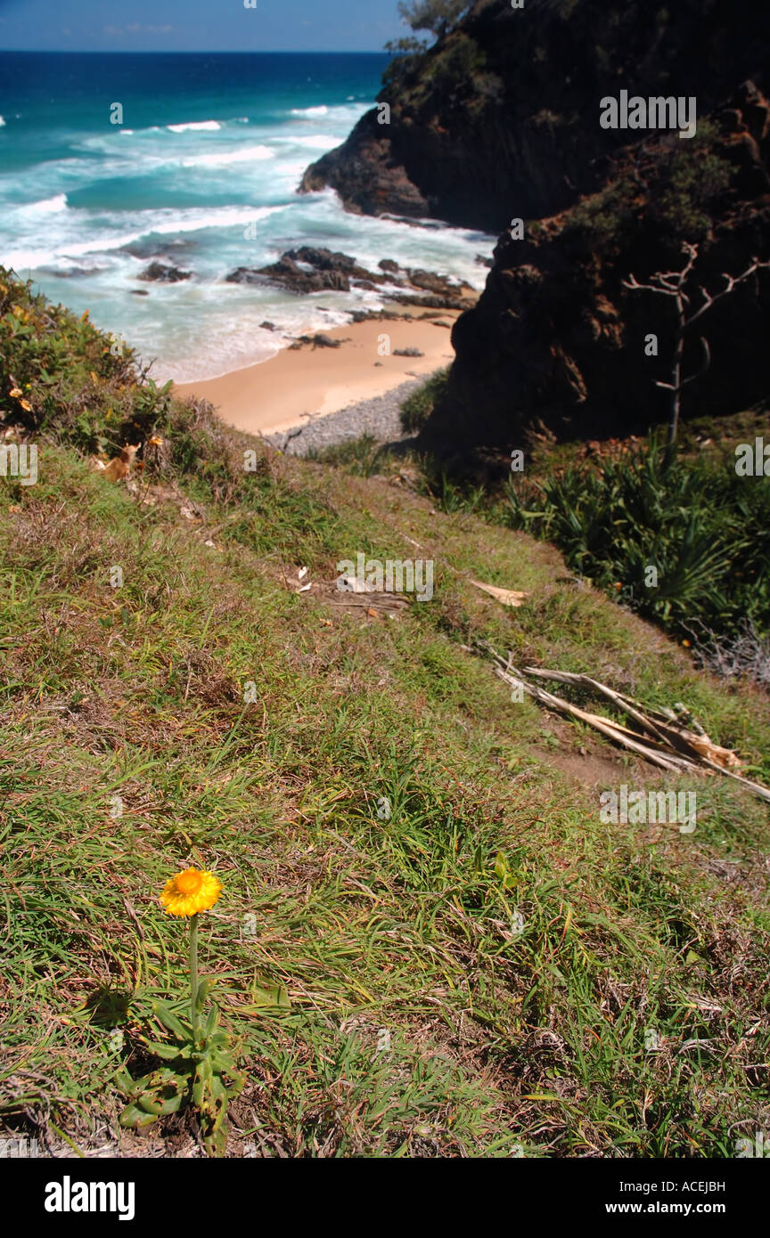 Noosa National Park Sunshine Coast di Queensland in Australia Foto Stock