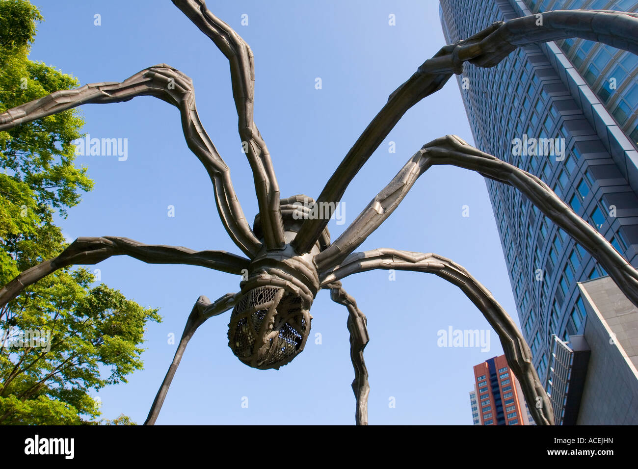 Il ragno gigante statua chiamata Maman davanti a Roppongi Hills Mori Tower a Roppongi quartiere di Tokyo Giappone Foto Stock