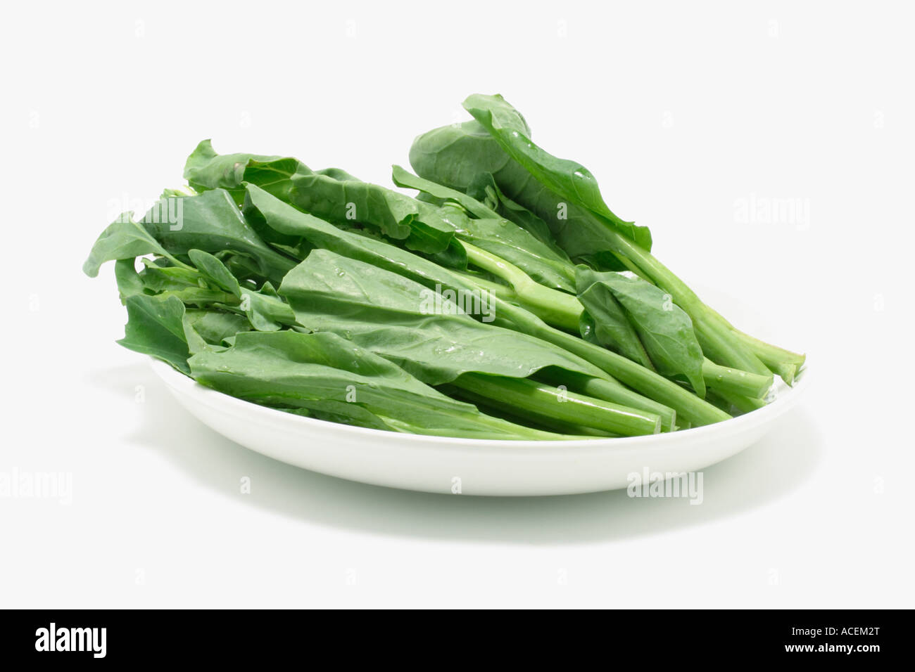 Broccoli cinesi (Gai Lan) Foto Stock