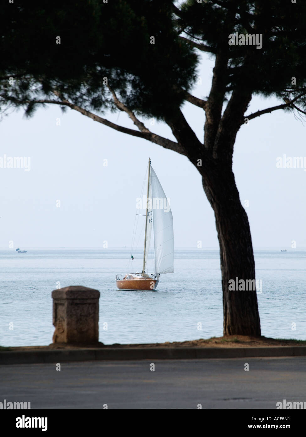 In legno classico yacht a vela sul lago di Garda vicino a Peschiera del Garda Italia Foto Stock