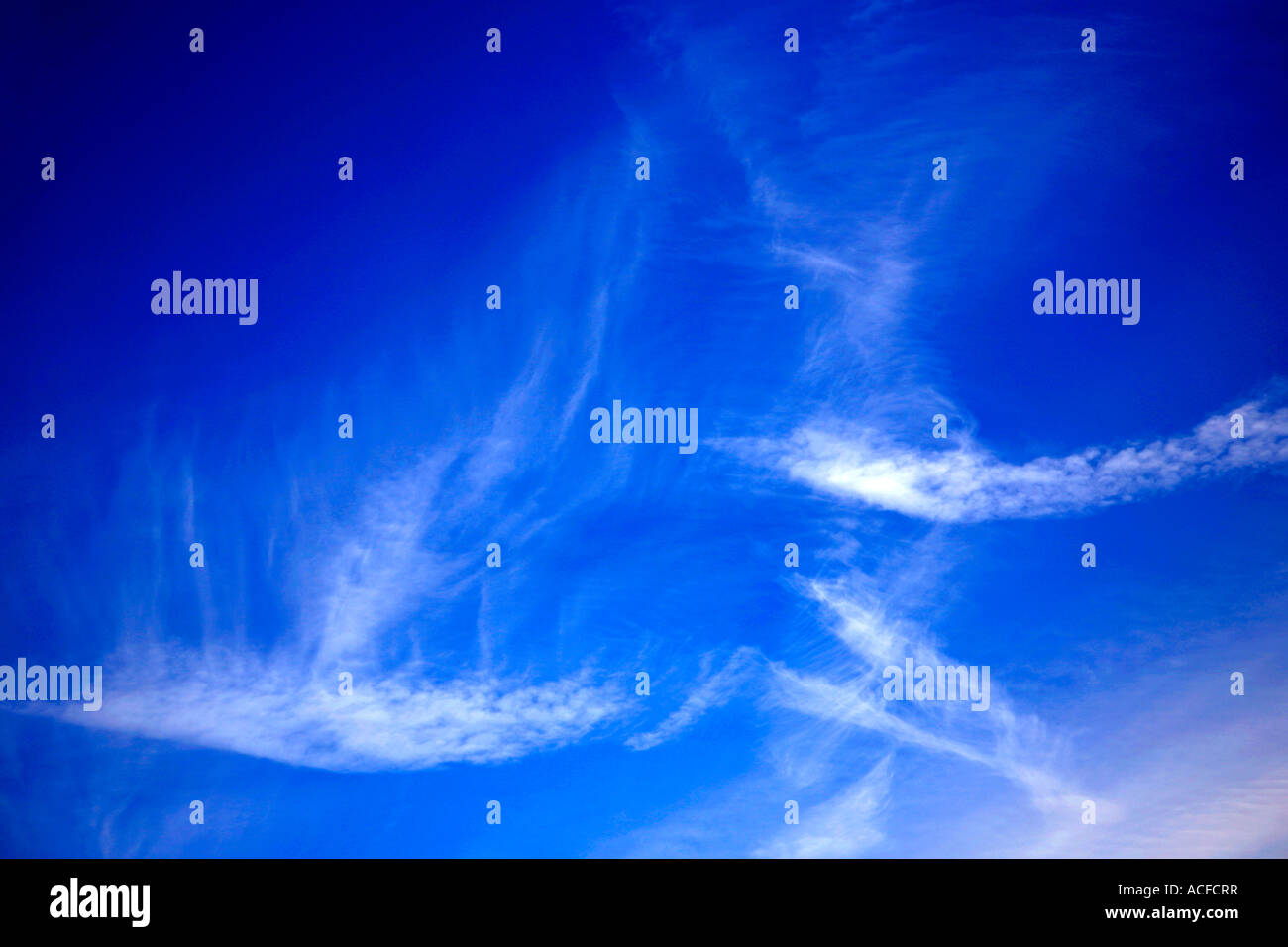 White Cirrus nubi in un brillante blu cielo polarizzato Foto Stock