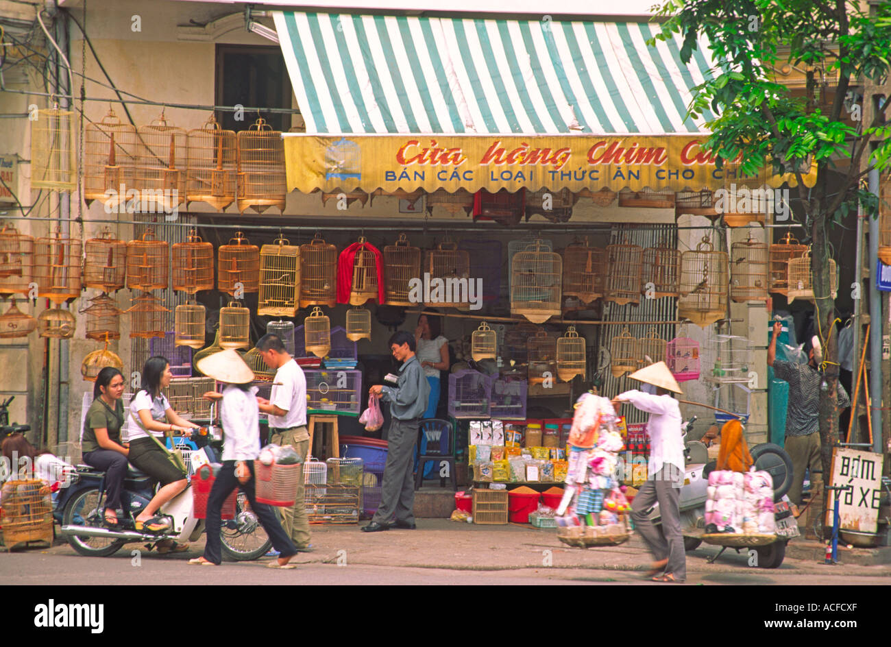 VMN Vietnam Hanoi street scene shop per il canto degli uccelli persone Foto Stock