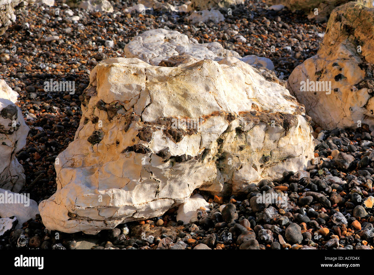 Chalk rocce sulla spiaggia a Seaford Testa, South Downs Way, 7 sorelle Cliffs, Sussex, Inghilterra, Regno Unito, Foto Stock
