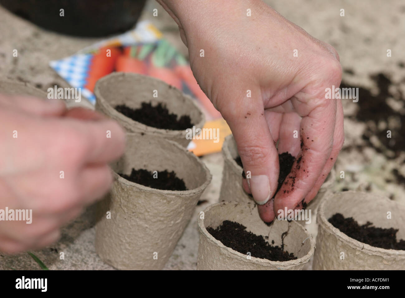 Giardiniere mettendo in suolo rispettosi dell'ambiente di cartone riciclato Pots Foto Stock