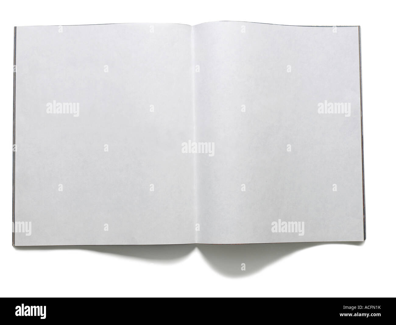 Aprire il Libro bianco pulito vuoto pagine vista in elevazione Foto Stock