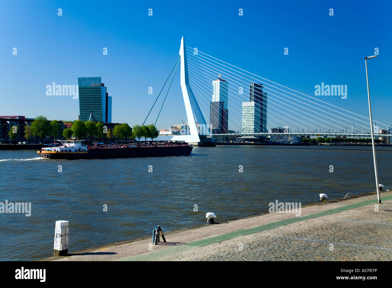 Porto di Rotterdam e ponte Erasmus Holland, Europa Foto Stock