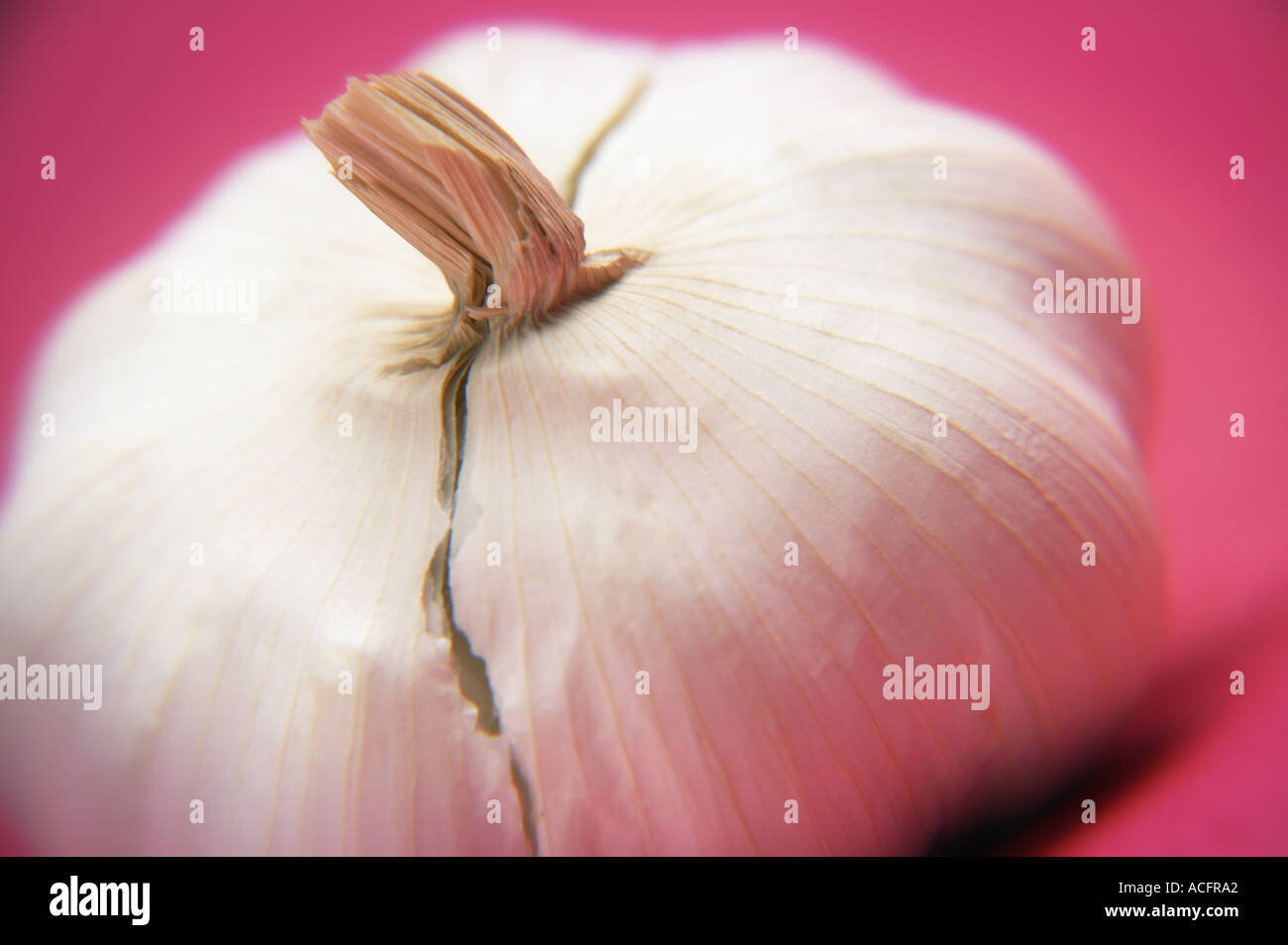 Spicchio d'aglio Foto Stock