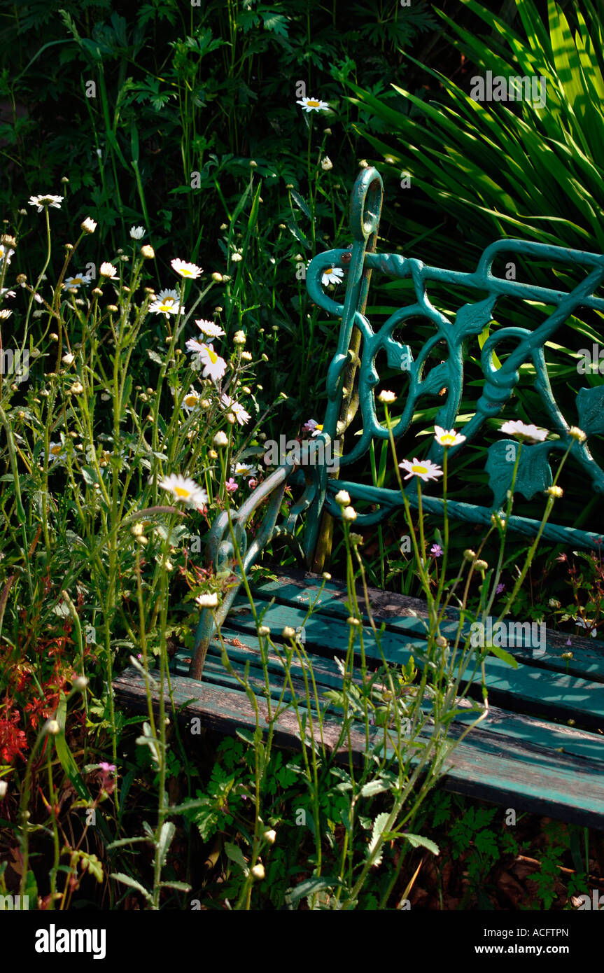 Un vecchio giardino sede essendo ricoperta da fiori. Foto Stock