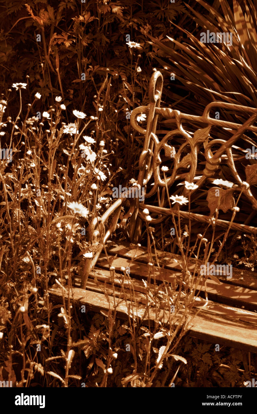 Un vecchio giardino sede essendo ricoperta da fiori. Foto Stock