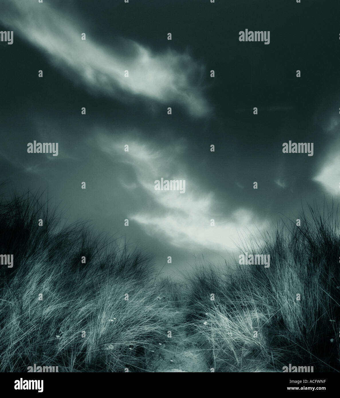 Foto di dune di sabbia Foto Stock