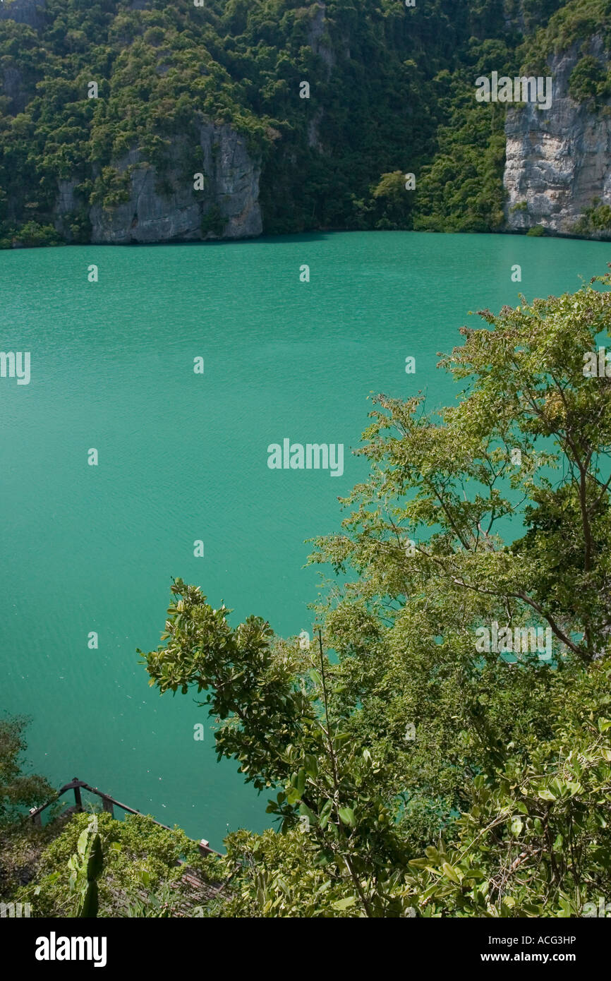 Thale Nai acqua di mare smeraldo lago Ang Thong National Marine Park Ko Samui Thailandia Foto Stock