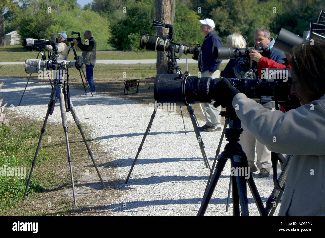 I fotografi si sono schierate per fotografare gli uccelli a Venezia Audubon Rookery in Florida Venezia Foto Stock