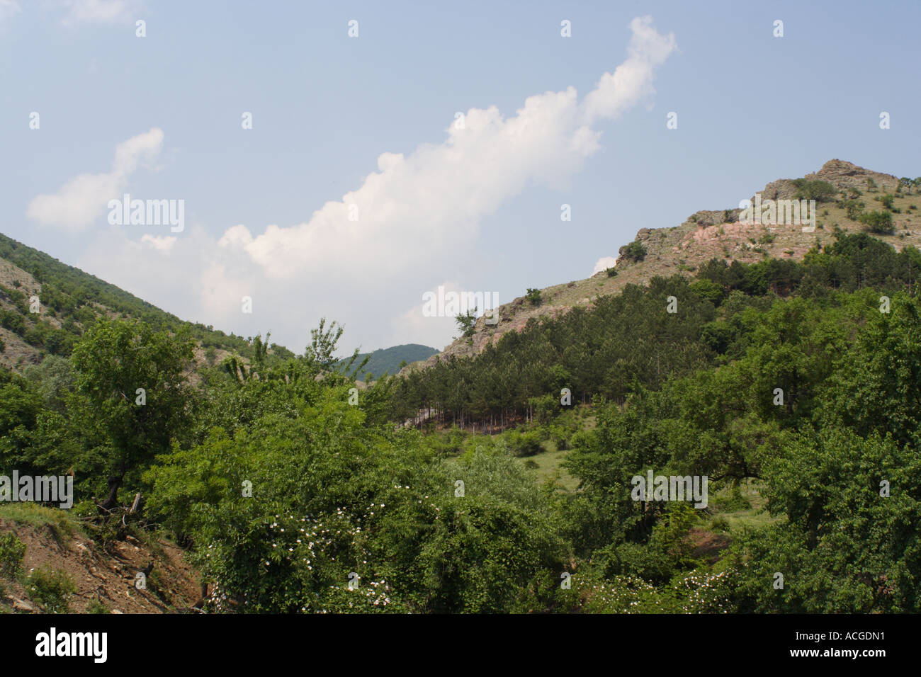 Collina vicino vilage di Glushnik Foto Stock