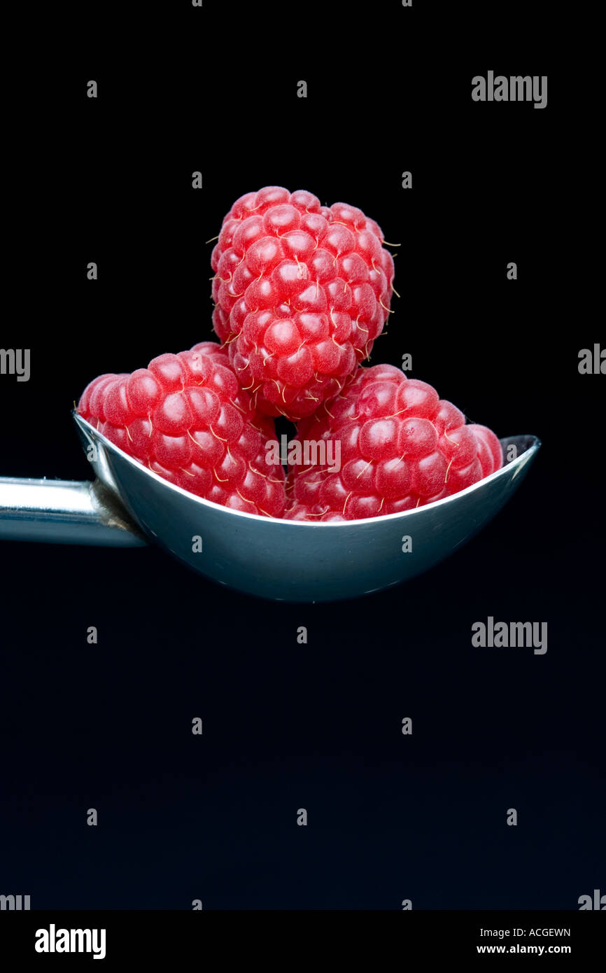 Rubus idaeus. Tre dei lamponi in un cucchiaio su sfondo nero Foto Stock