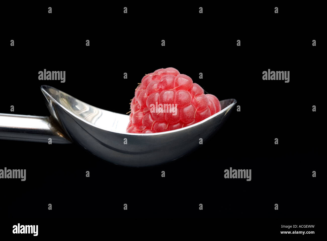 Rubus idaeus. Lampone in un cucchiaio su sfondo nero Foto Stock
