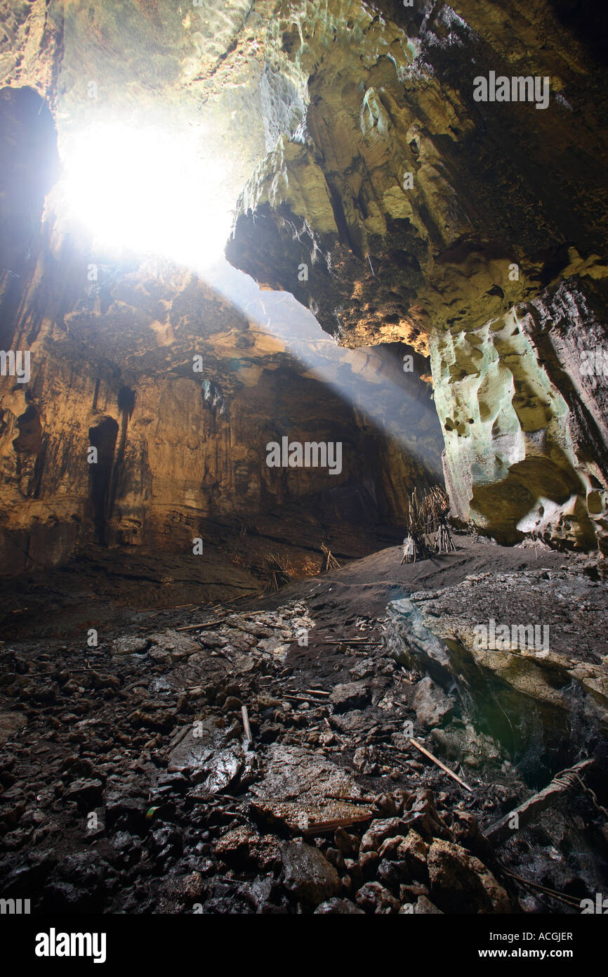 Grotta Gomantong Sabah Borneo Malese Foto Stock