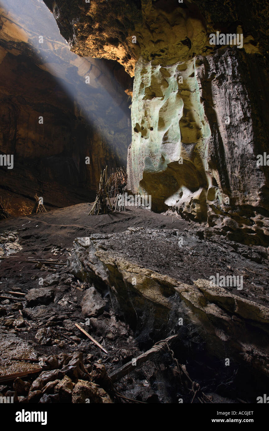 Grotta Gomantong Sabah Borneo Malese Foto Stock