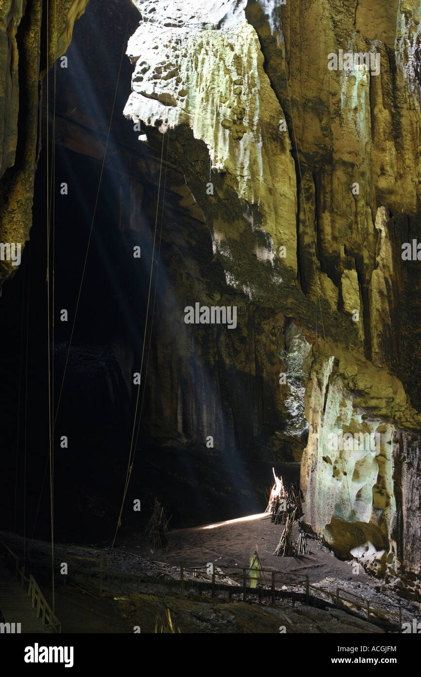Grotta Gomantong Sabah Borneo Malese Foto Stock