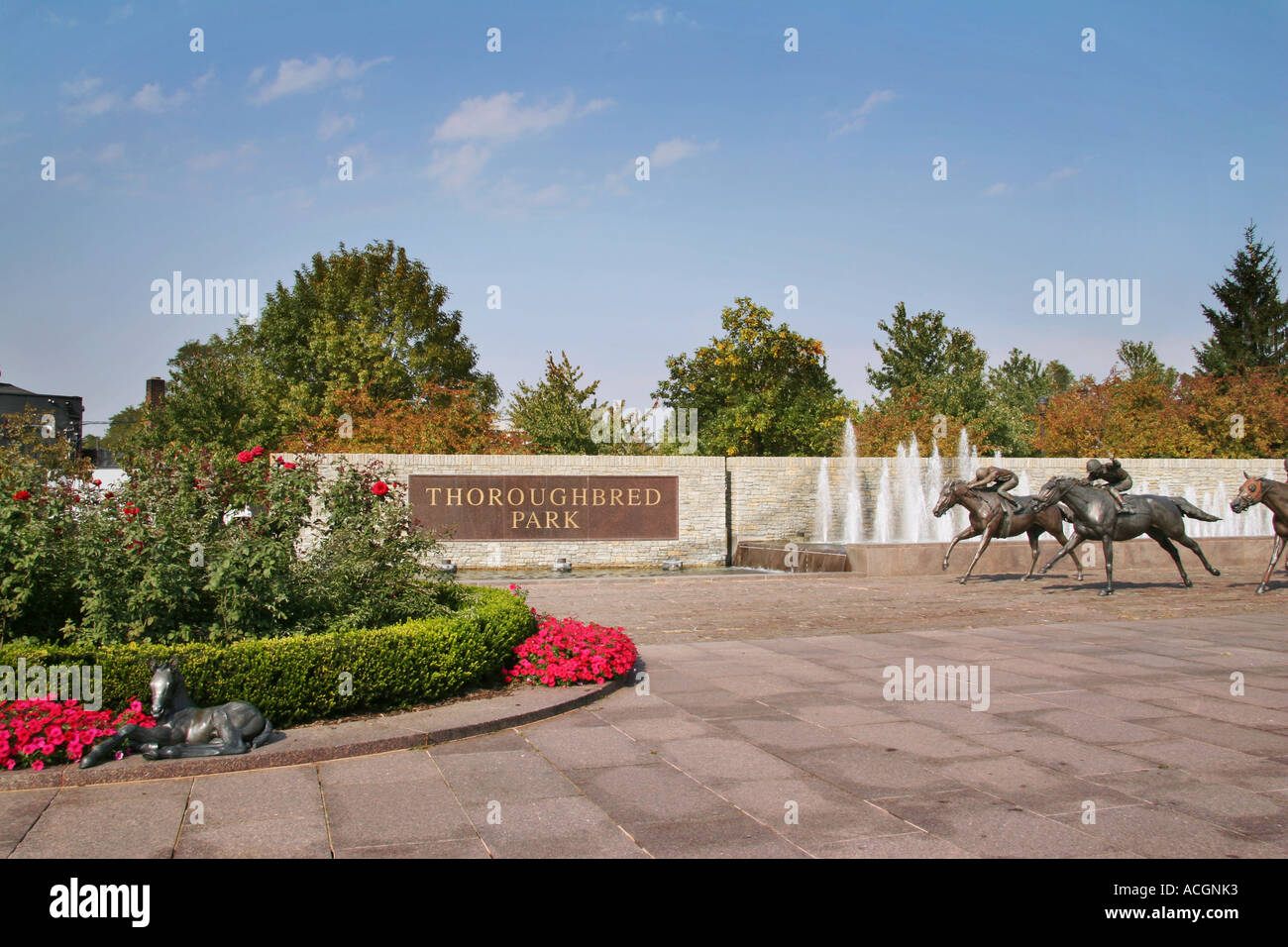 Thoroughbred Park Lexington Kentucky statue in bronzo di ricreare un cavallo di razza Foto Stock