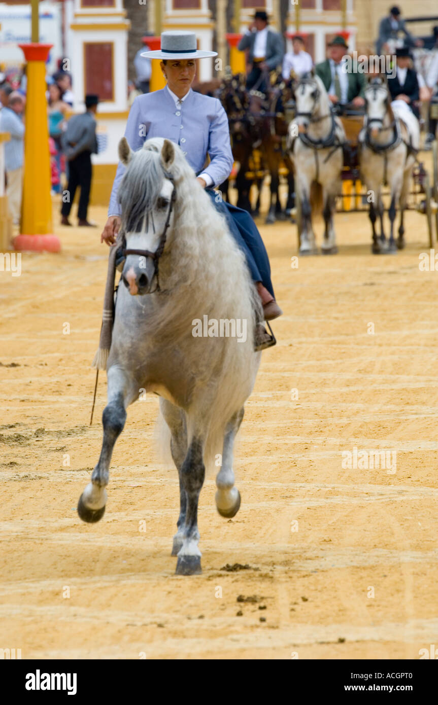 Impeccabilmente vestito femminile sul pilota spagnolo di razza throroughbred andaluso cavallo. Foto Stock