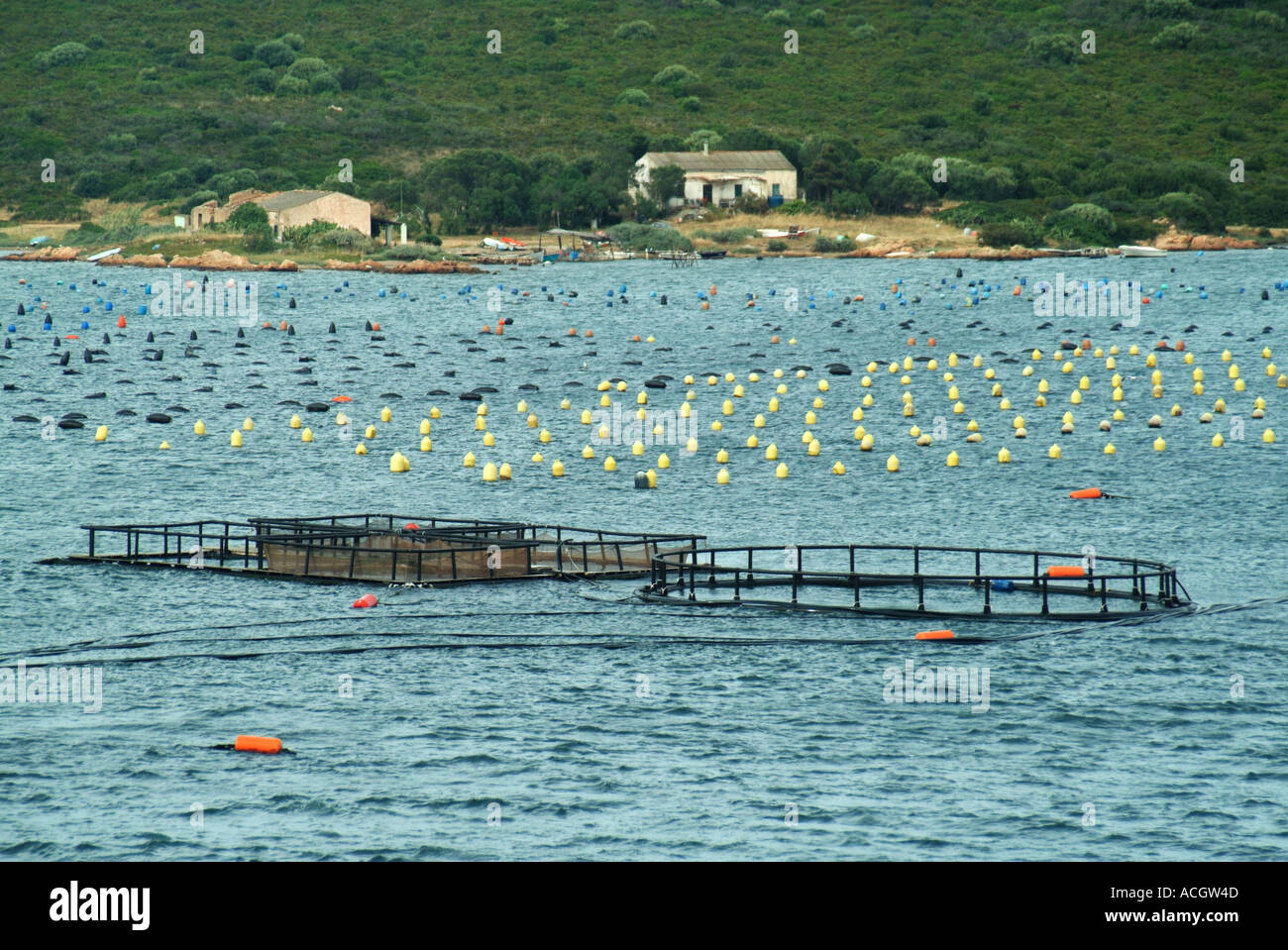 Olbia Sardegna galleggia in acqua marcatura molluschicoltura ubicazione Foto Stock