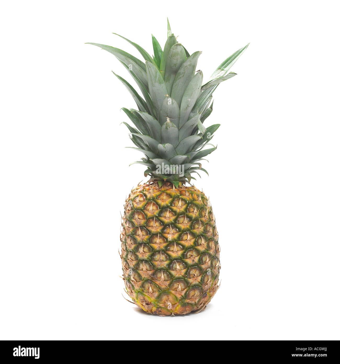 Un fresco di ananas maturo su sfondo bianco Foto Stock