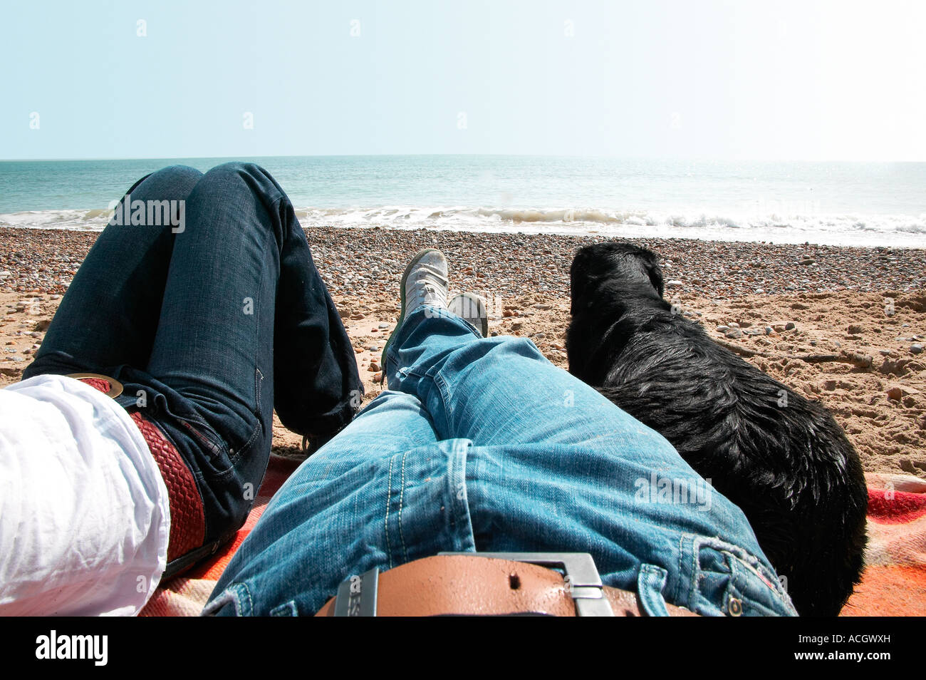 Un paio di rilassarsi sulla spiaggia con i loro labrador nero cane guarda la sabbia e mare seduti su un tappeto Foto Stock Un paio di rilassarsi sulla spiaggia con i loro labrador nero cane guarda la sabbia e mare seduti su un tappeto Foto Stock