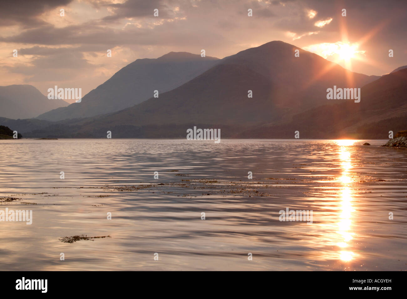 Vista verso Beinn Sgulaird e Loch Creran presso sunrise Argyll, Scotland, Regno Unito Foto Stock