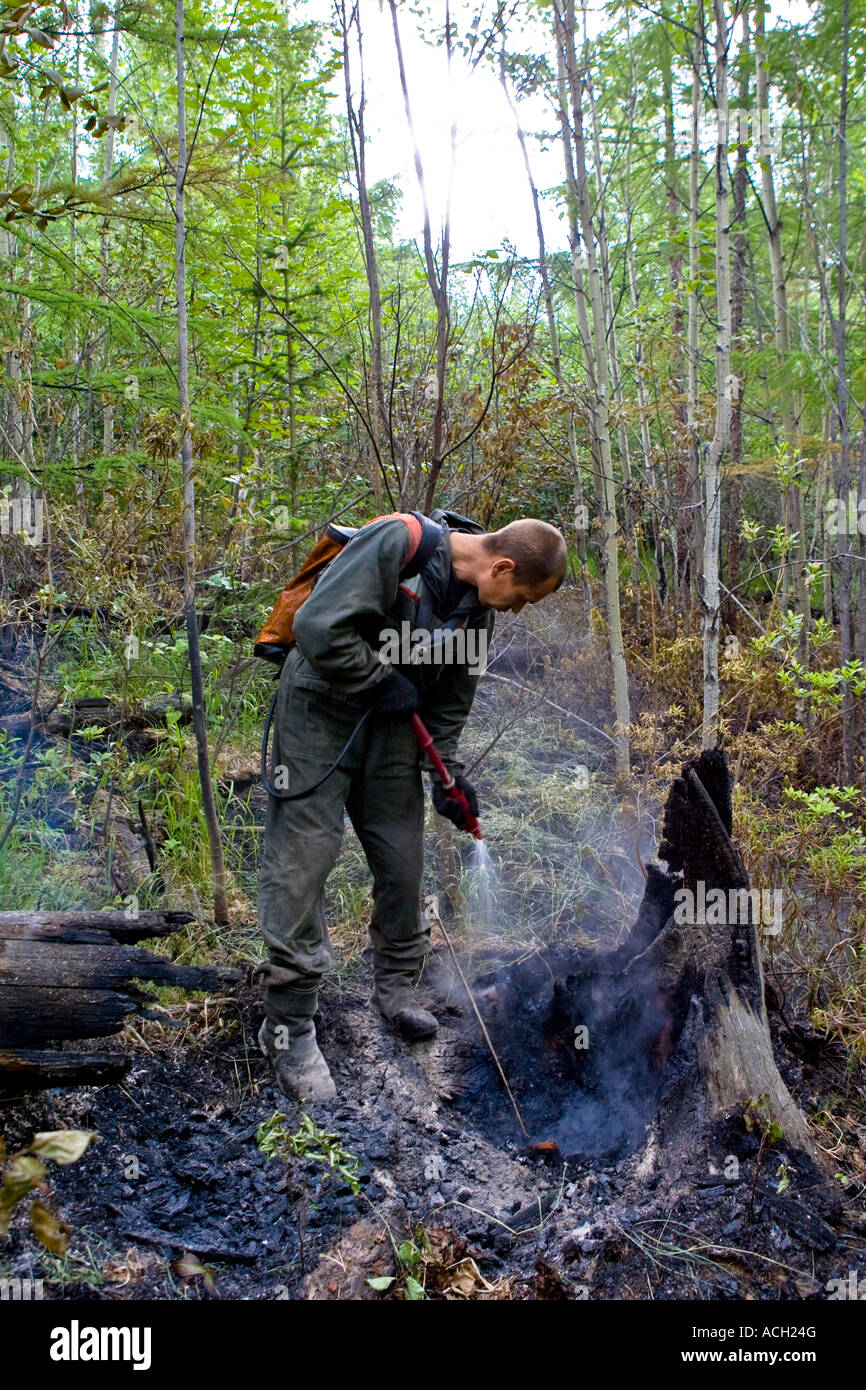 Forest Fire fighter pattugliamento estingue un incendio di foresta spruzza acqua da una vescica sulla sua schiena a radici di albero Foto Stock