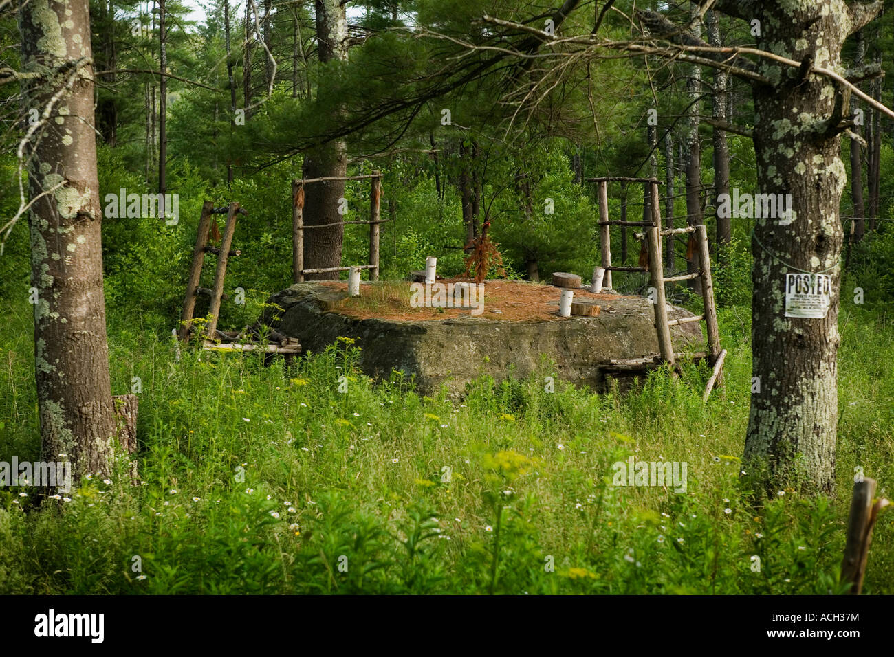 Divertente storybook fiaba tabella per giganti vicino Tinmouth Vermont Rutland County Foto Stock