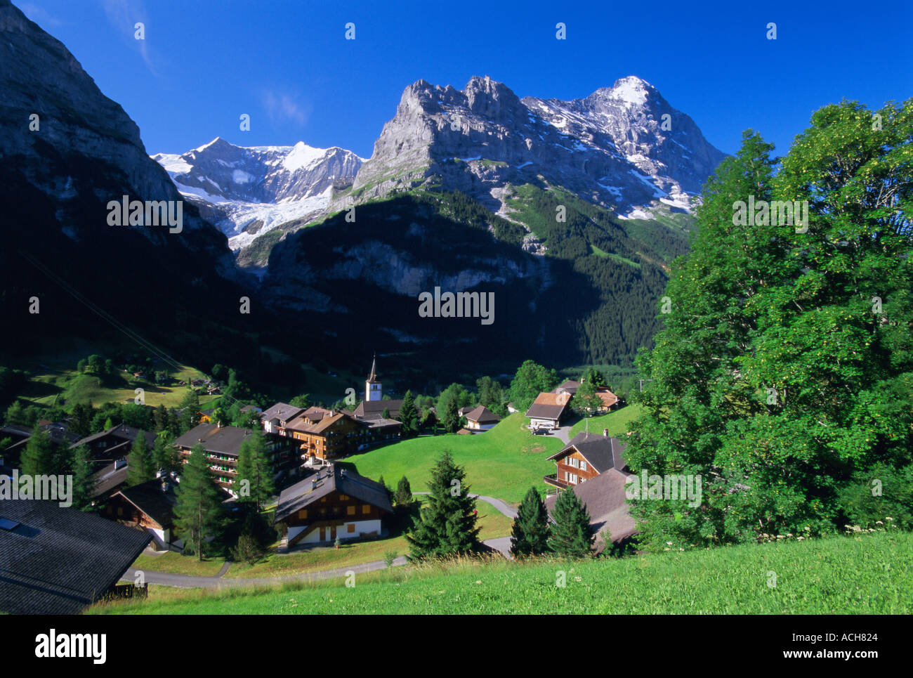 La parte nord dell'Eiger Alpi Svizzere montagna Grindelwald in Svizzera Europa Foto Stock