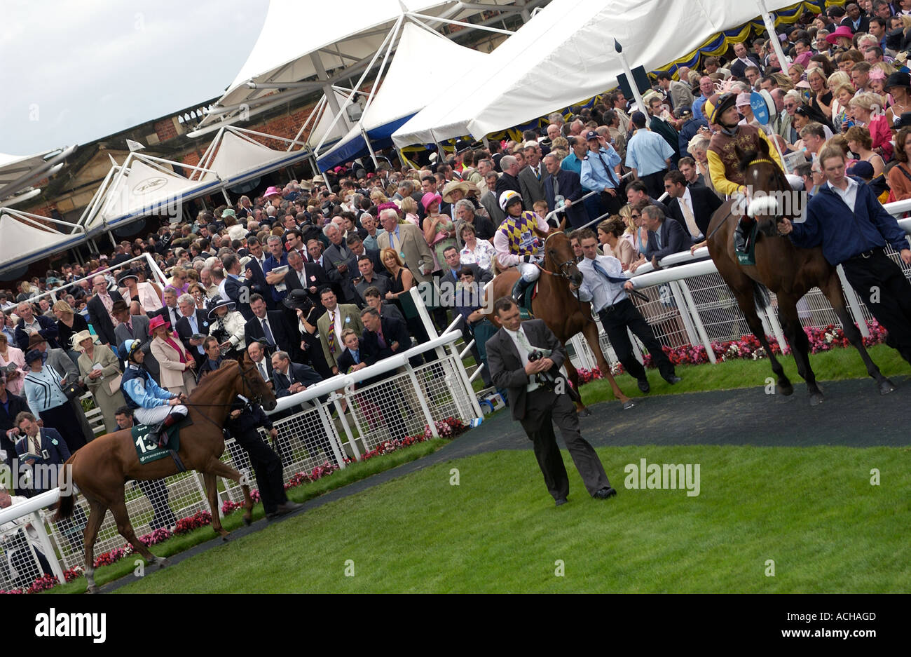 Horse & jockey nella parade ring (2) - York Racecourse Foto Stock