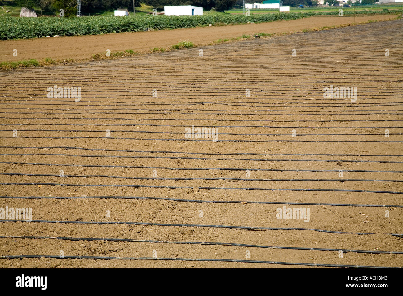 Irrigazione tubi neri in un campo - Andalucia Spagna Foto Stock