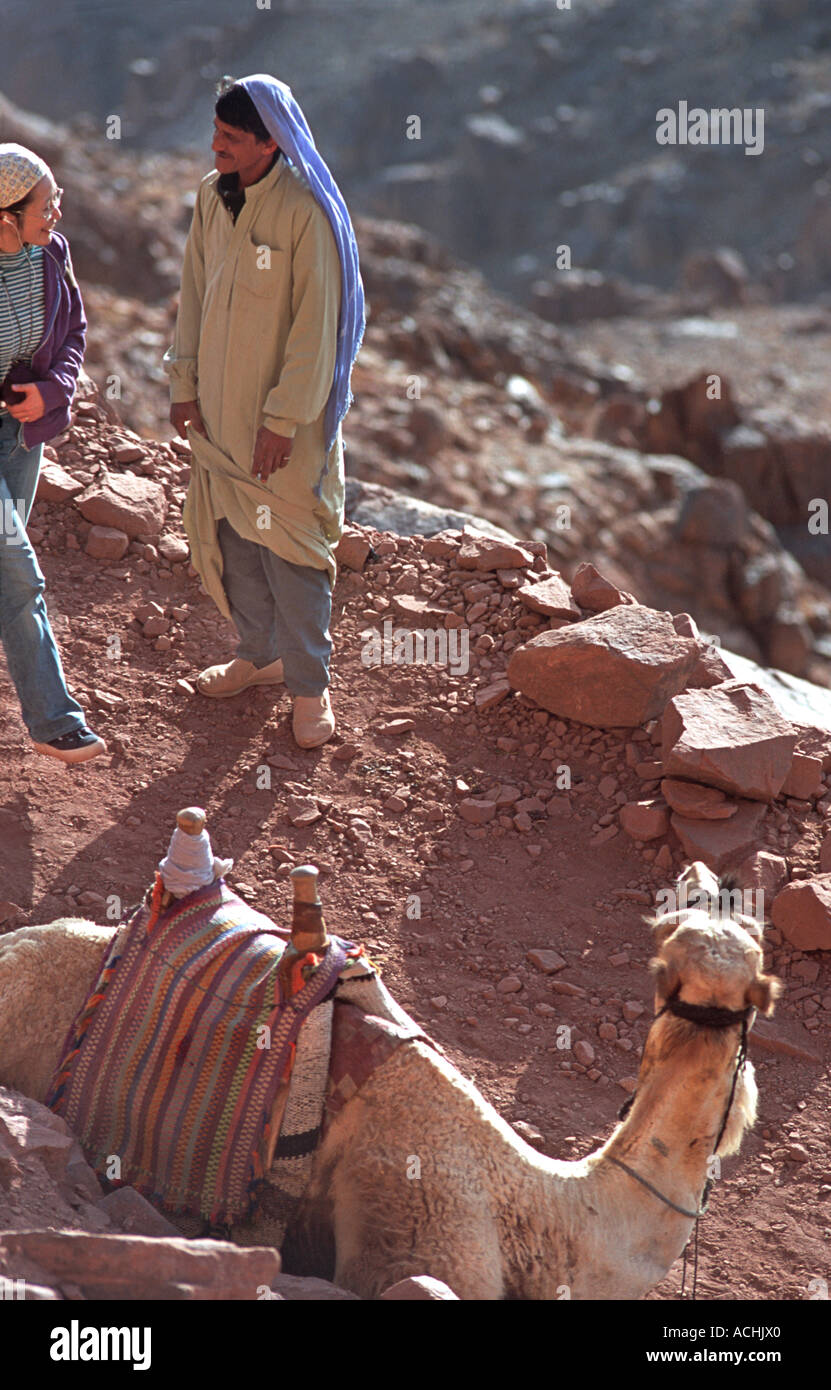 Uomo beduino con camel reclamizza per il business sul cammello sentiero che conduce dalla cima del monte Sinai Egitto Foto Stock