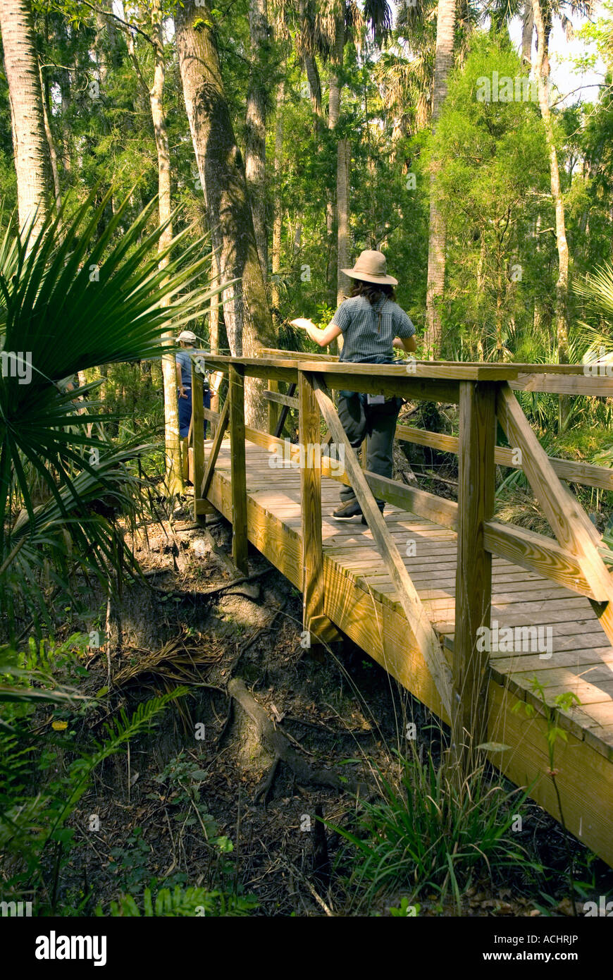 Escursionismo Florida Trail donna escursionista camminando sul ponte di legno Foto Stock