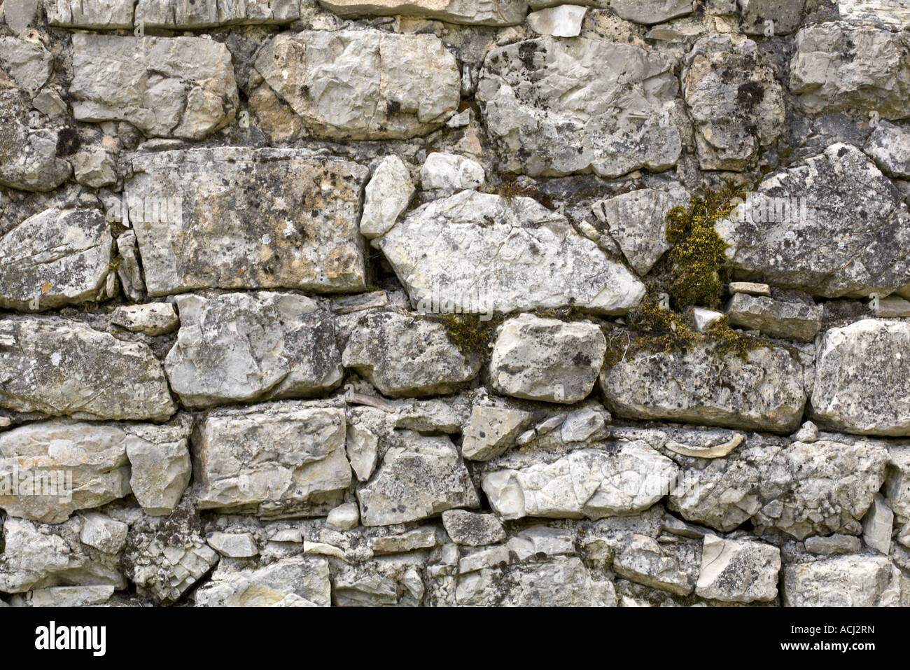 Sullo sfondo di un muro di pietra, Drôme provenzale, Francia Foto Stock