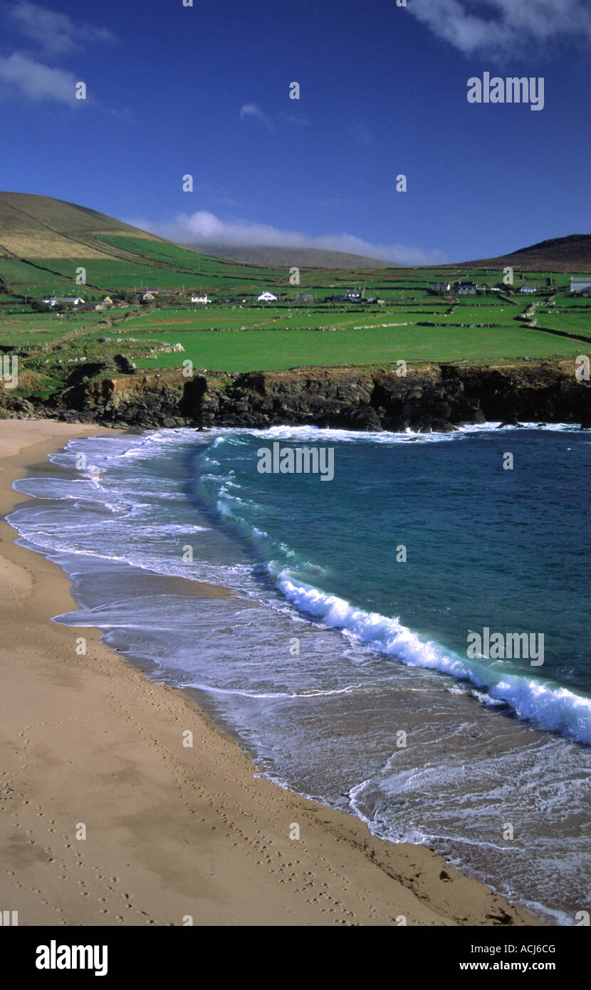 Campi di verde che si affaccia Clogher Beach. Penisola di Dingle, nella contea di Kerry, Irlanda. Foto Stock