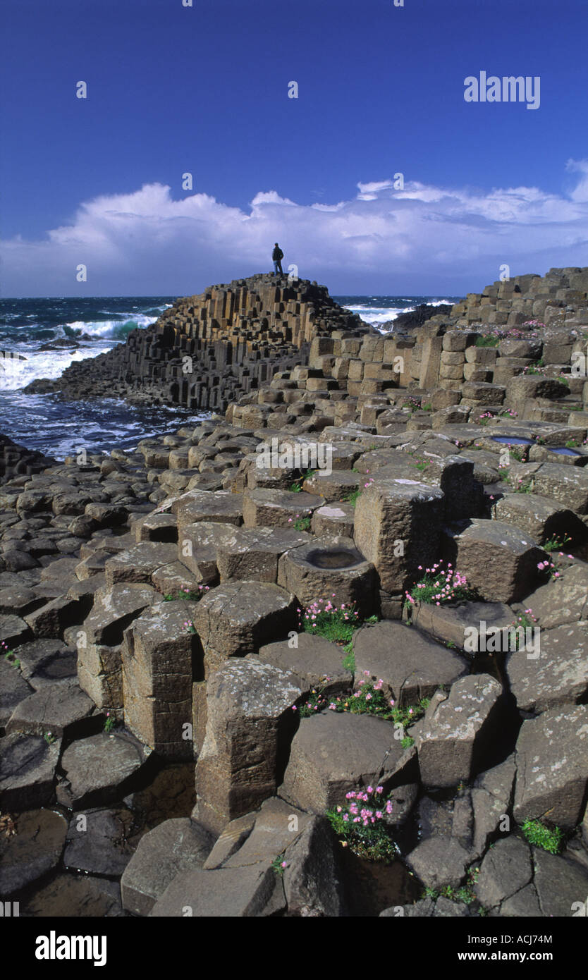 Persona sul esagonale a colonne di basalto del Giant's Causeway, County Antrim, Irlanda del Nord. Foto Stock