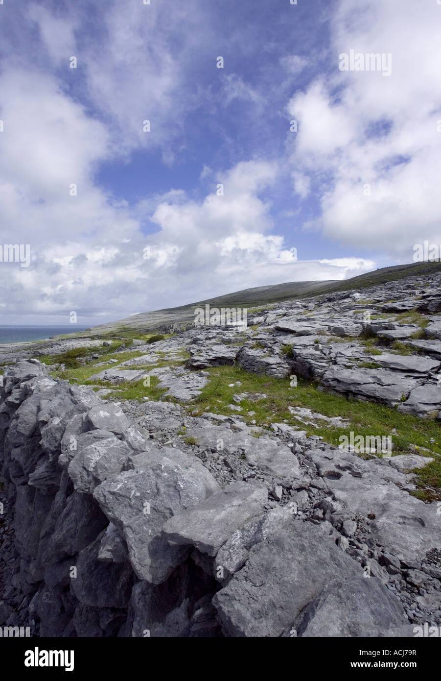 Burren, Fanore, Testa nera, Ovest dell Irlanda Burren modo in Irlanda Foto Stock