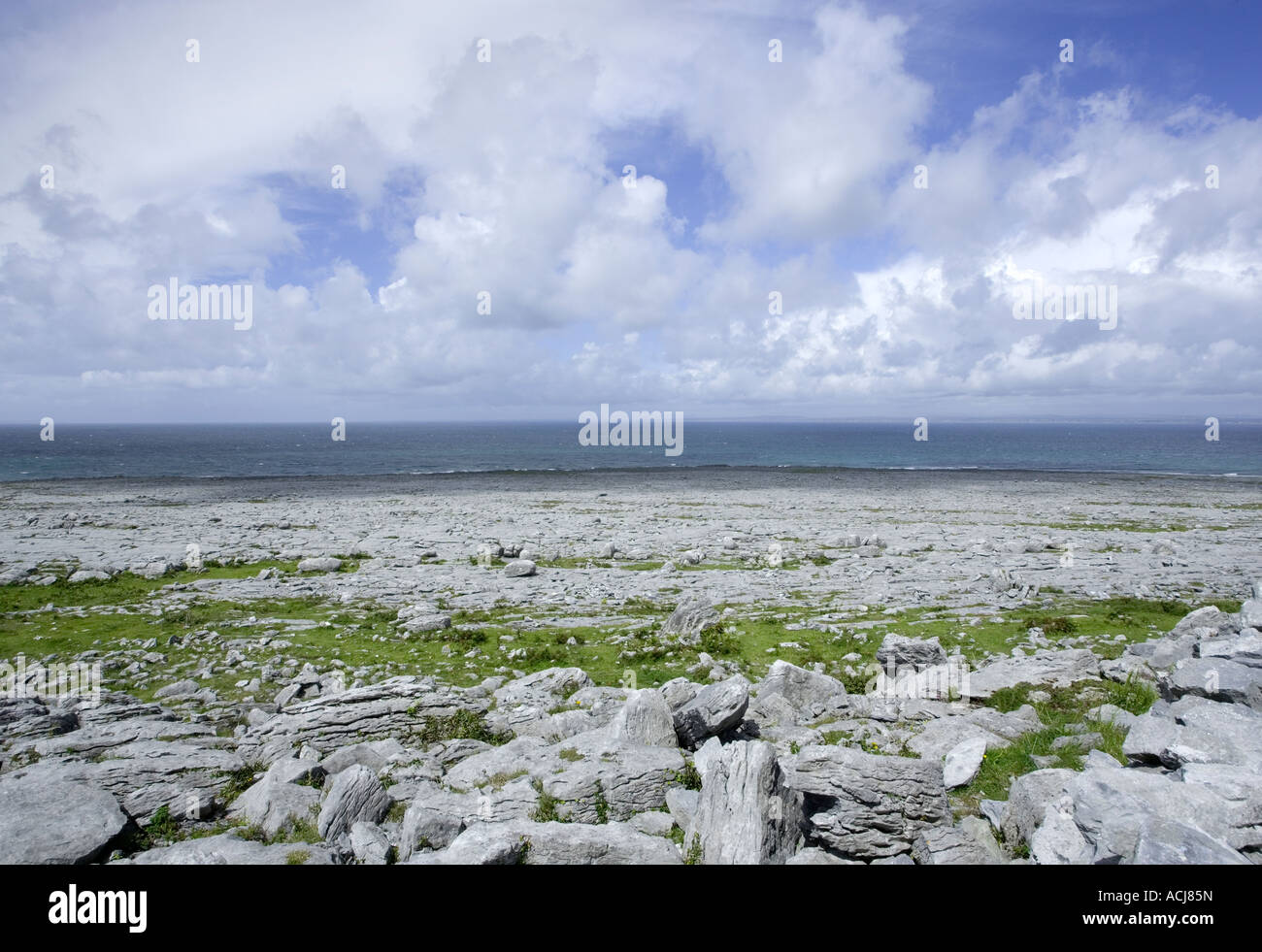 Burren, Fanore, Testa nera, Ovest dell Irlanda Burren way, Irlanda Foto Stock