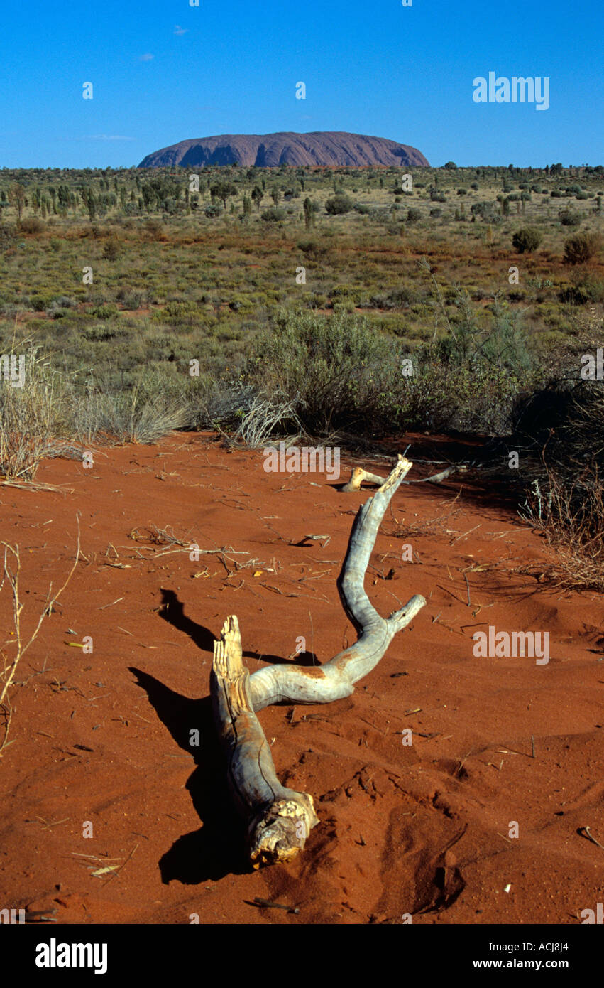 Montare Uluru Ayers Rock e Kata Tjuta National Park, il Territorio del Nord, l'Australia Foto Stock