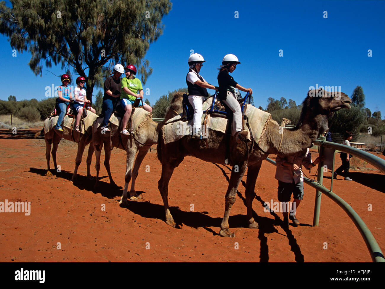 Camel train e piloti il Kata Tjuta National Park, il Territorio del Nord, l'Australia Foto Stock